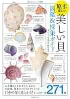 THE SHELL 貝の図鑑 THE SHELL 貝の図鑑